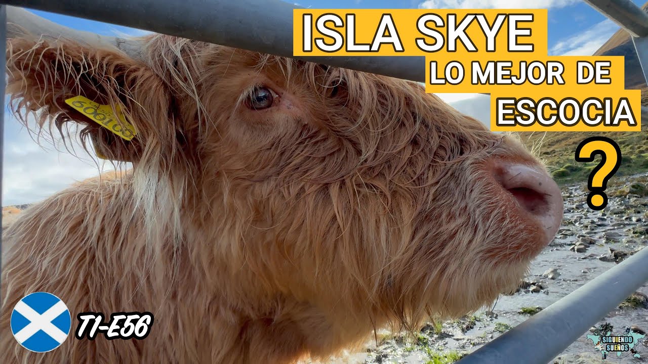 Dicen que esto es Lo MEJOR de ESCOCIA 🧐 ISLA de SKYE (T1-E56)