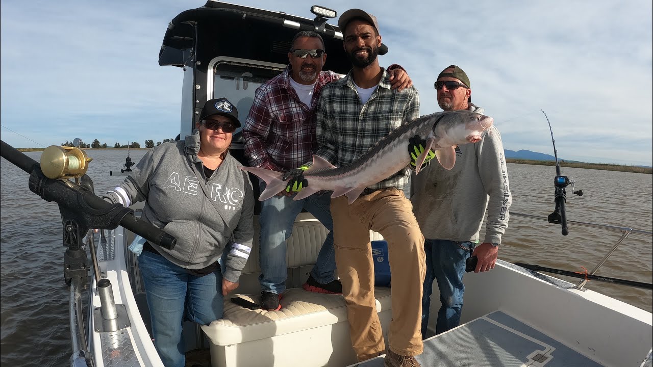 Very windy day at grizzly bay ca ,but we managed to catch 4 sturgeon and 1 shaker striper 3/7/2026