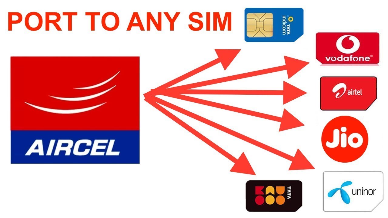 How to port aircel number to any other network easily | Aircel to other network port