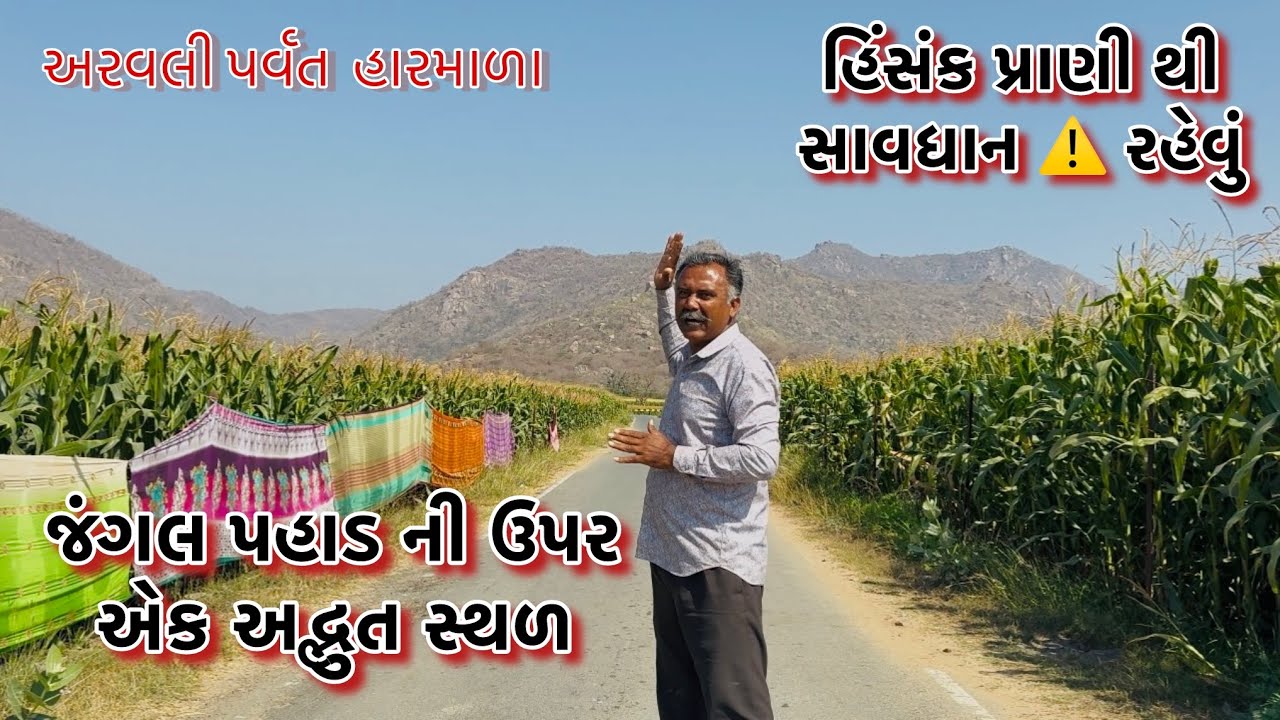 જંગલ પહાડ ની એક અદ્ભુત સ્થળ જોઈ નવાઈ લાગી અરવલ્લી પર્વત ની ગોદ માં 