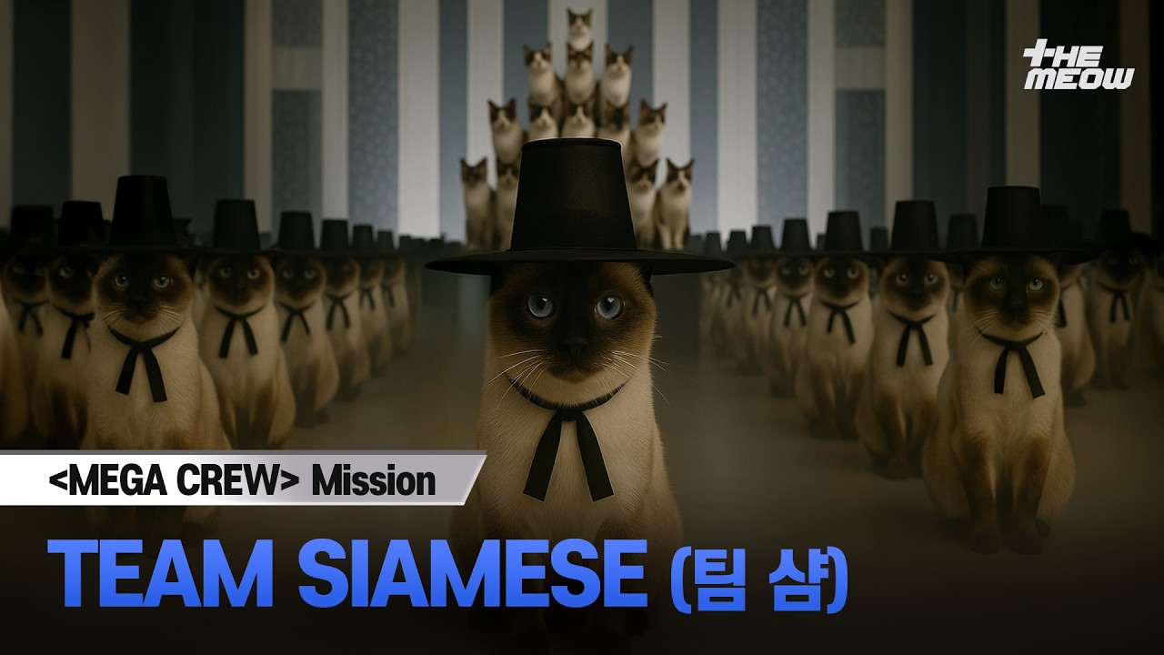 메가 크루 미션 글로벌 대중 평가 | TEAM SIAMESE(팀 샴)