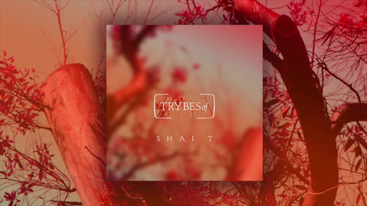 Shai T - Miracles (try023)