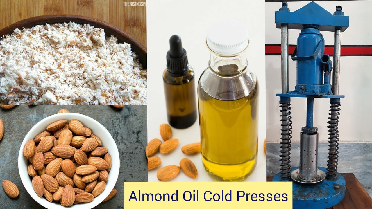 How To make Cold Pressed Oil of Almonds 50% More Effective Then Other Process