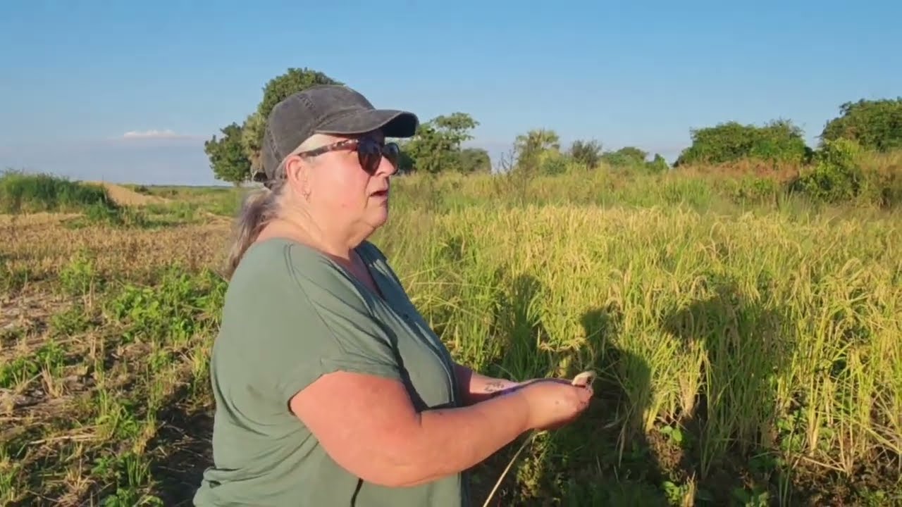 Kawale Farm Visit in Salima, Malawi