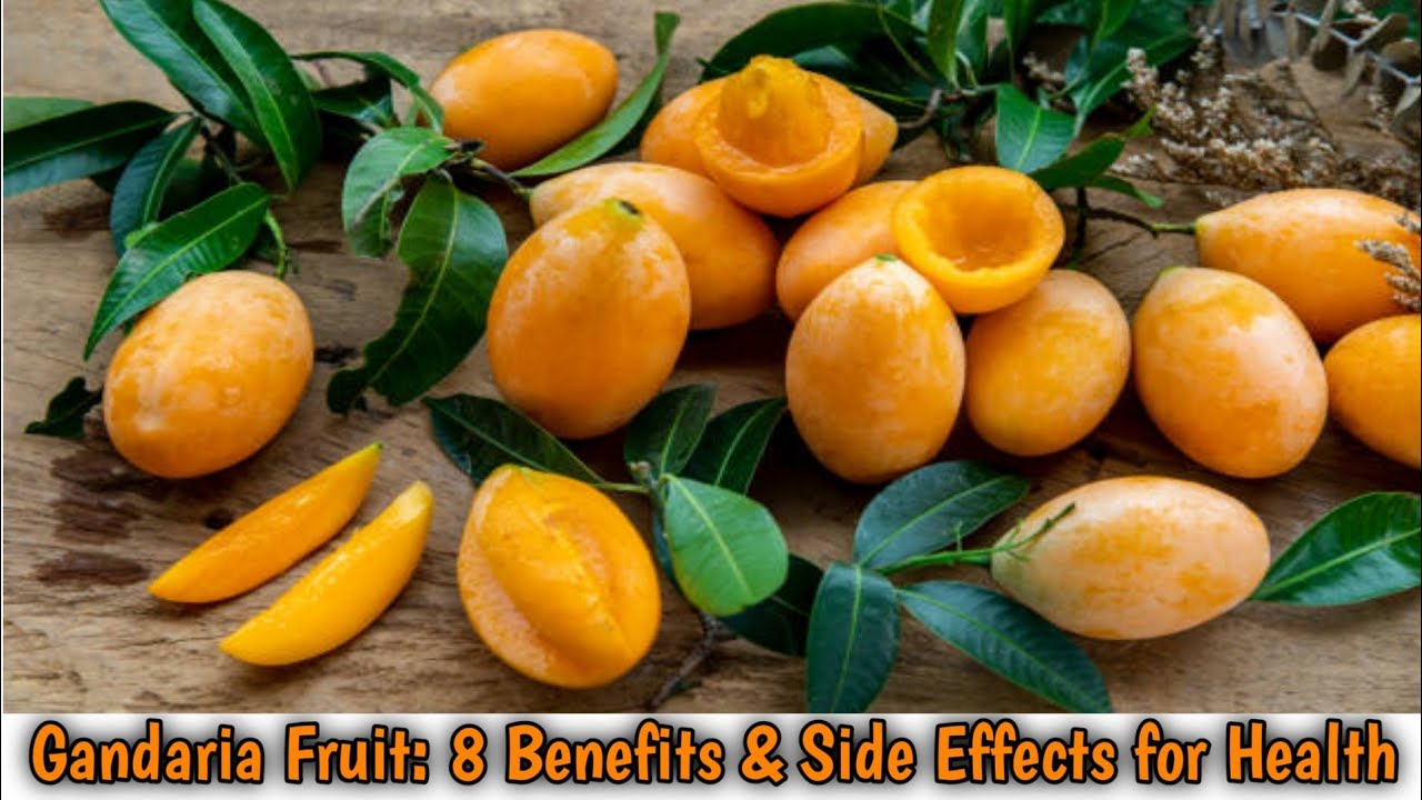 8 Benefits of Gandaria Fruit And Side Effects for Healthy Body