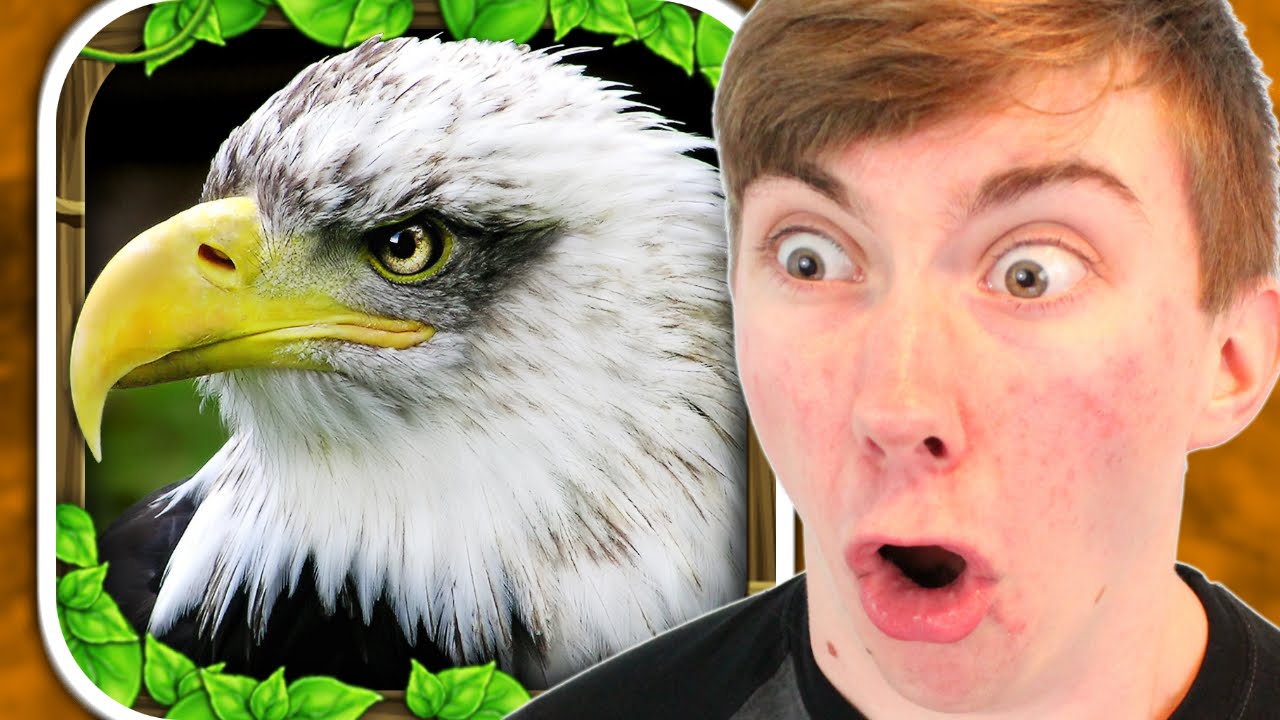 EAGLE SIMULATOR (iPhone Gameplay Video)