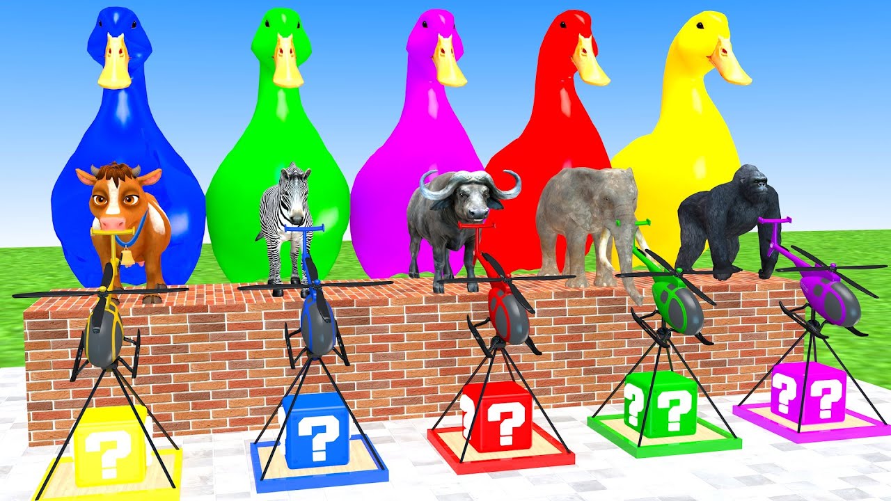 Long Slide Game With Elephant Cow Zebra Buffalo Gorilla 3d Animal Cage Game Funny 3d Animals