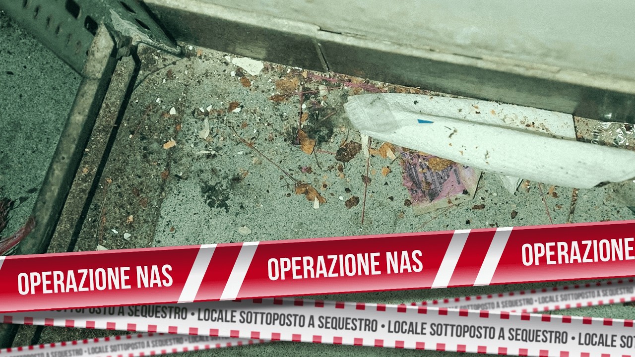 TOPI, SPORCIZIA E DIPENDENTI IN FUGA: l'ispezione assurda | Operazione NAS