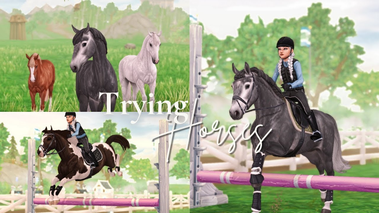 Trying Horses - Finding my new Jumper! || SSO RRP