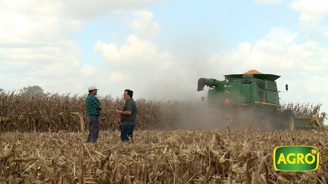 Brasil y Argentina: dos productores que rompen barrera de rindes en soja (#790 2018-09-22)