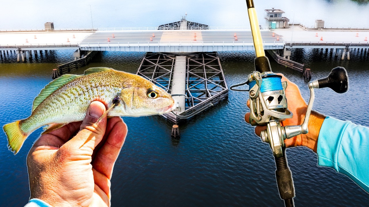 48 Hrs In The Land Of GIANTS | Multiple PB's Caught (Catch Clean Cook)