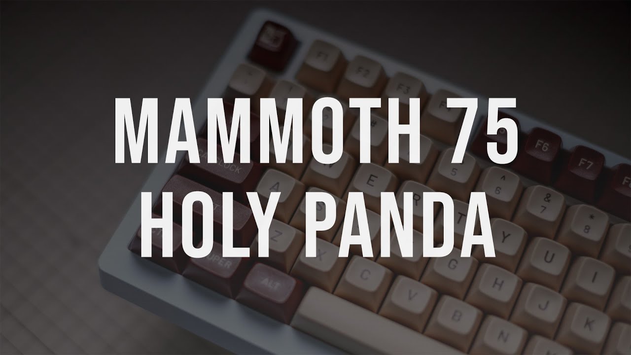 Mammoth 75 | Drop Holy Panda | PC Full plate | MT3 NOCTUA | Typing Demo