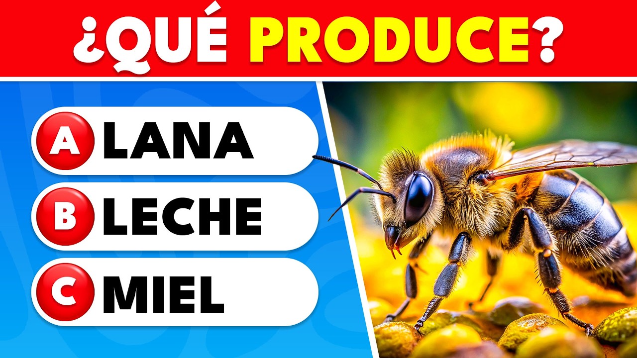 ¡Examen de Primaria 2026! 📚 ¡Si obtienes 35/50, tu memoria SIGUE AFILADA! | Knowlio - ES