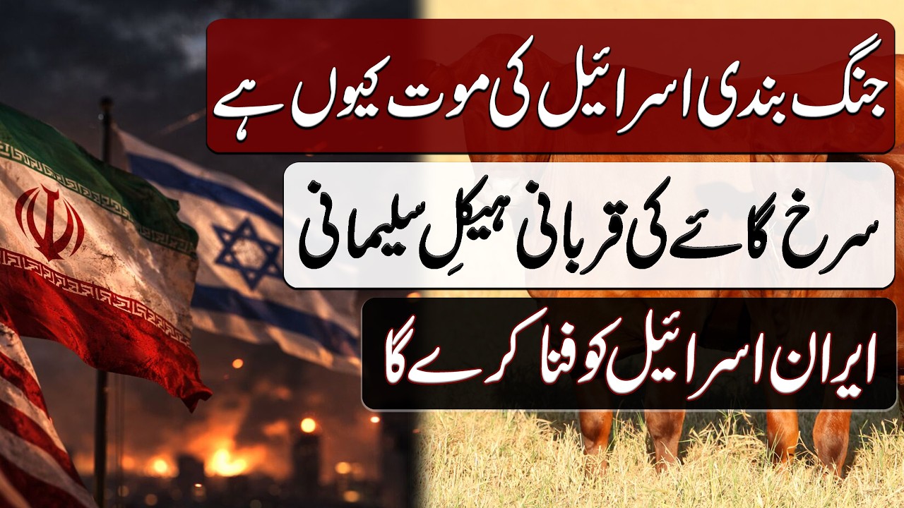 Ceasefire is the Death of Israel!! Sacrifice of Red Heifer and Solomon's Temple | Blend of History