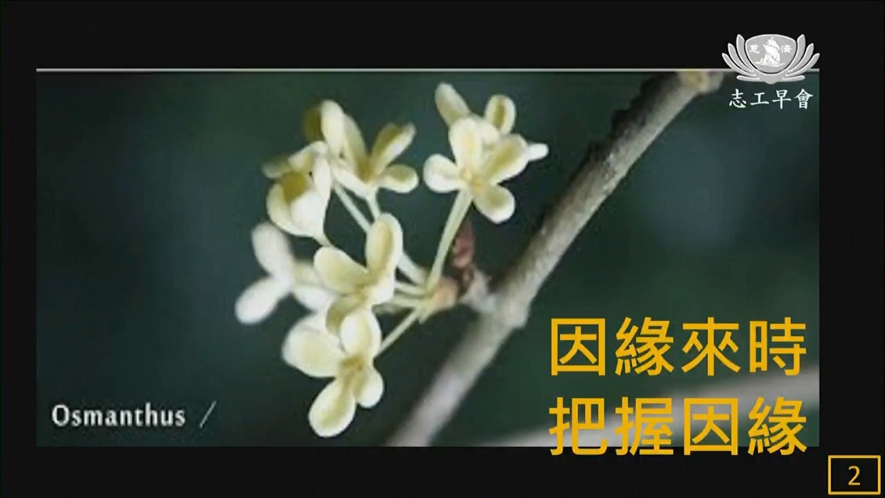 20260314   因緣來時 把握因緣  德璔師父