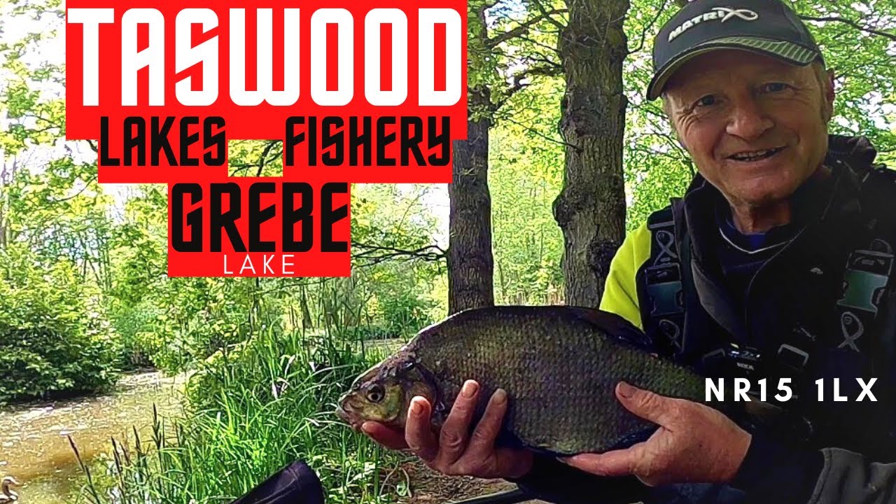 Catching bream on the pole,#Taswoodlakes #jamesatkinsfishing #fjukabait