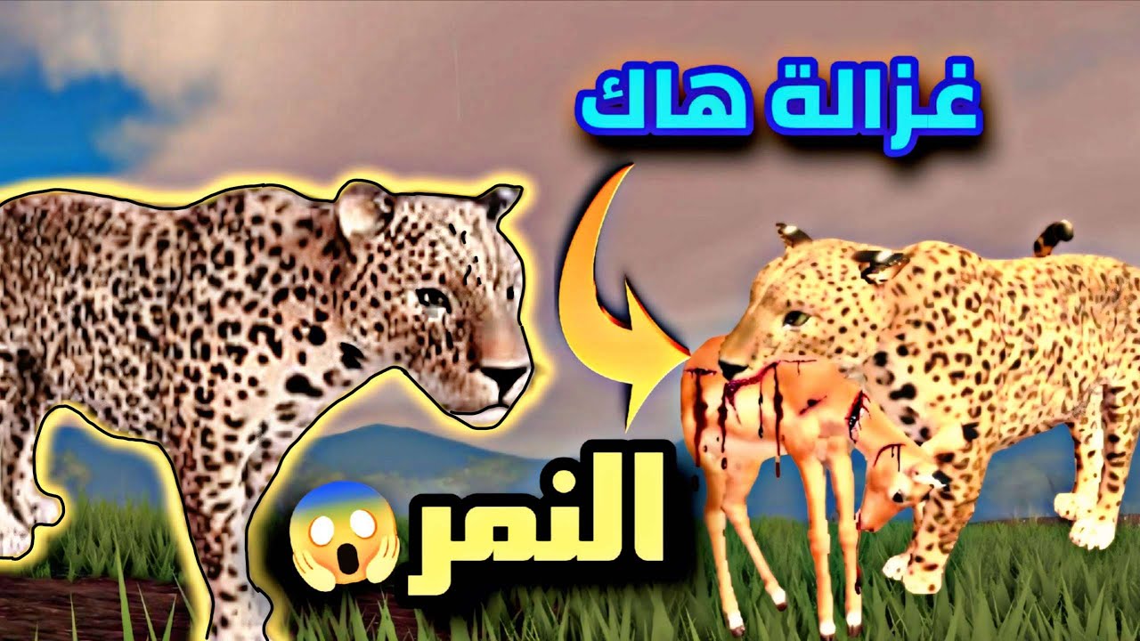 Тигр — один из самых сильных хищников. Леопард сильнее льва? 🤔 Roblox SavannahLife