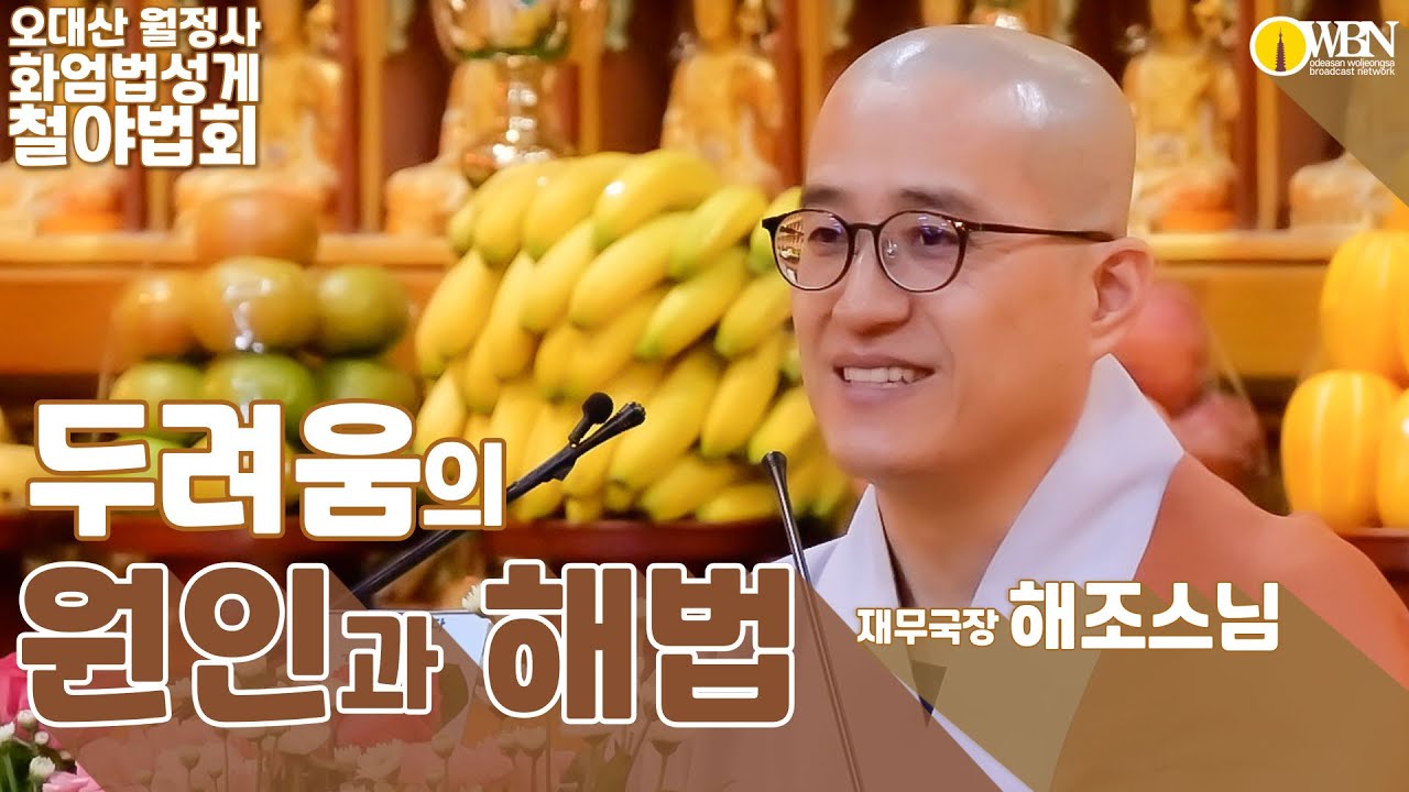 두려움의 원인과 해법 [5월 화엄법성게 철야정진 법회]  Feat: 해조스님