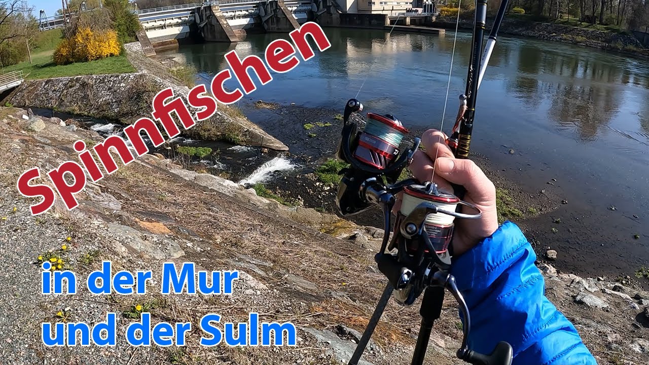 Spinnfischen an der Mur & Sulm (Teil1)