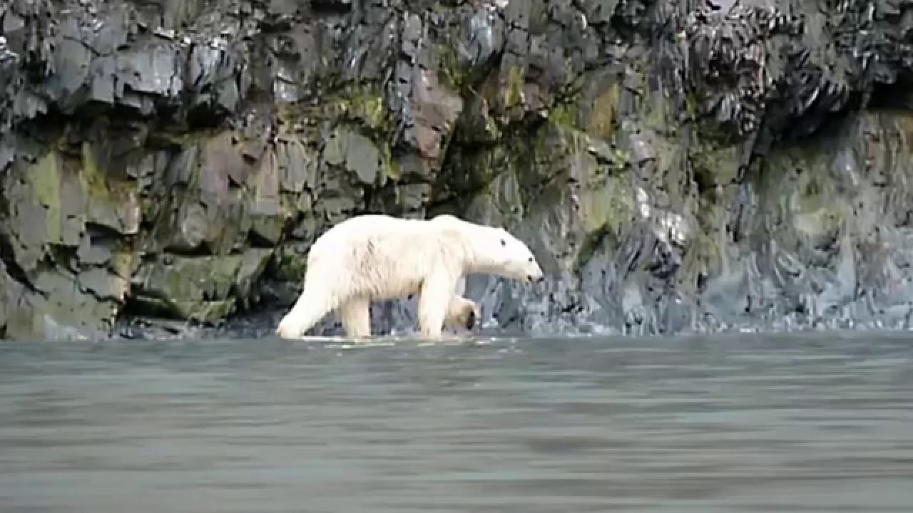 SPITZBERGEN
