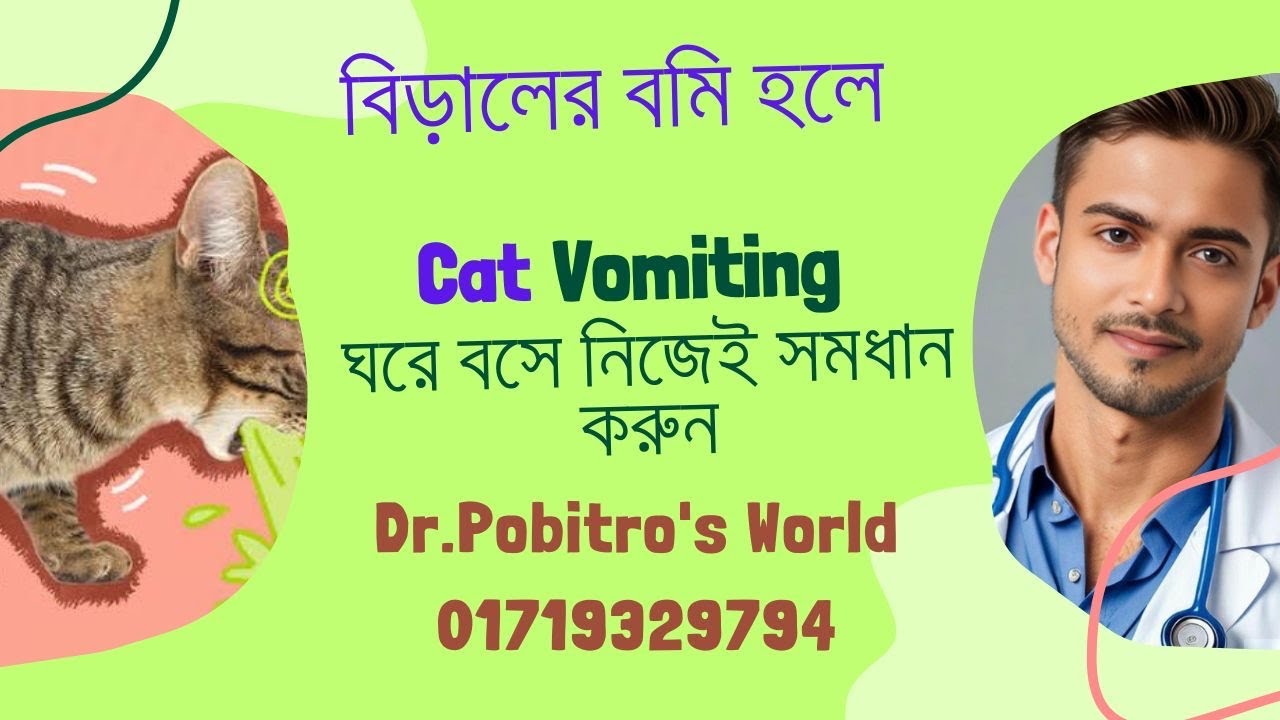 বিড়ালের বমি হলে ঘরে বসে নিজেই সমধান করুন || Dr. Pobitro