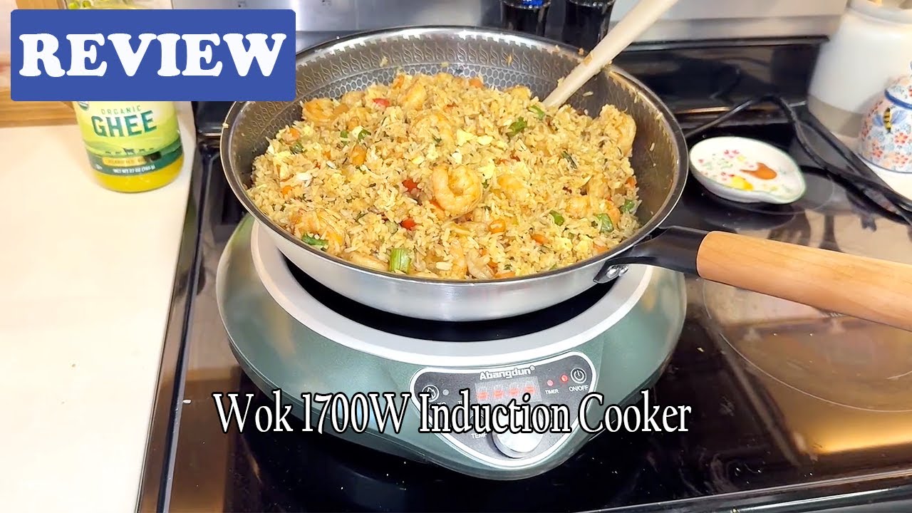 Abangdun Wok 1700W Induction Cooker Review - See Before Buying