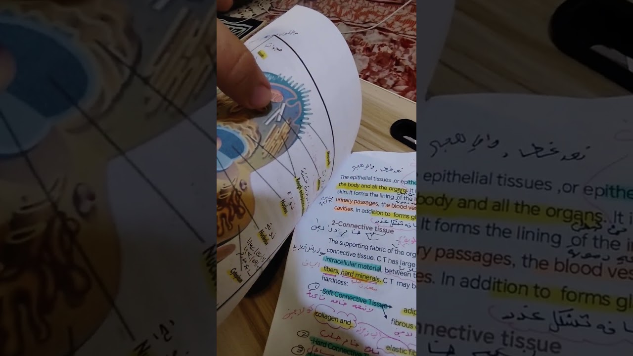التشريح النضري المحاضرة الثانية