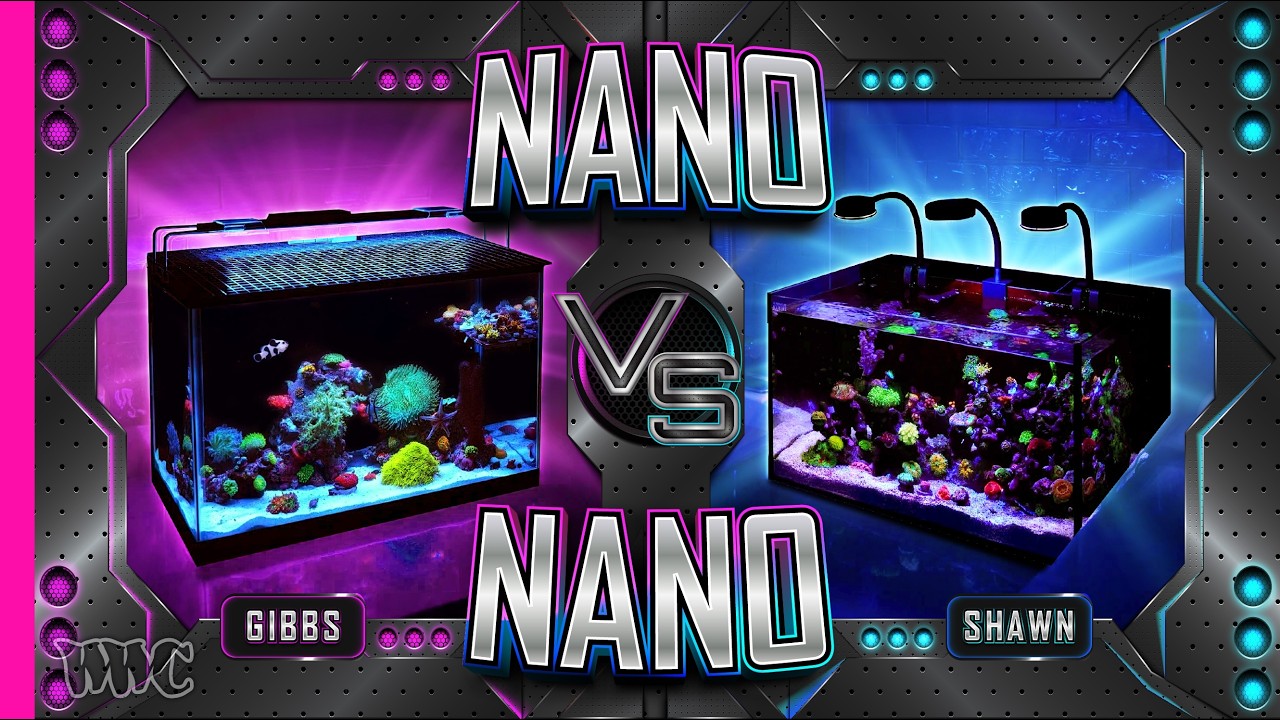 Two Budget Nano Reefs Go Head-to-Head — Which One Got It Right?