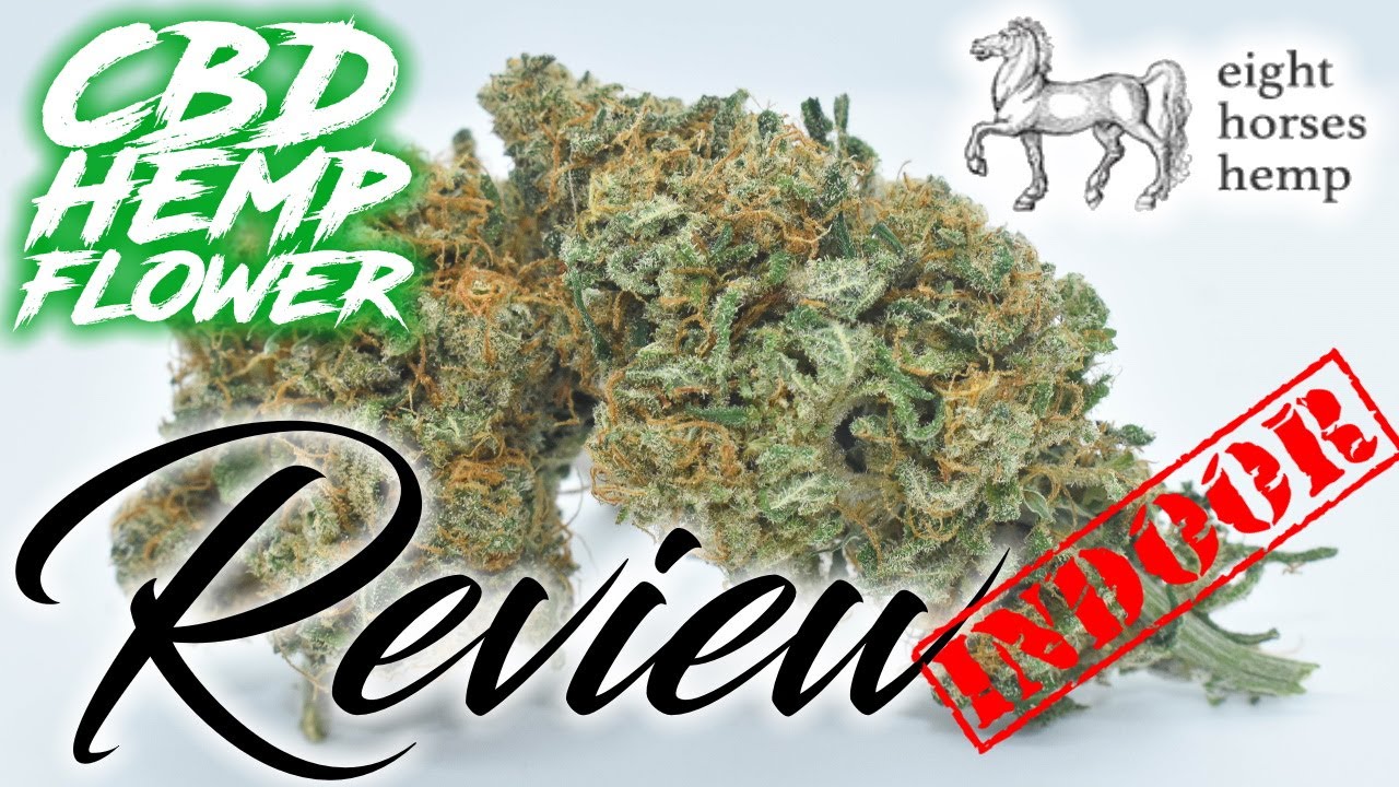 8 Horses Hemp has INDOOR now! CBD Hemp Flower Review [Sour Space Candy, C4]