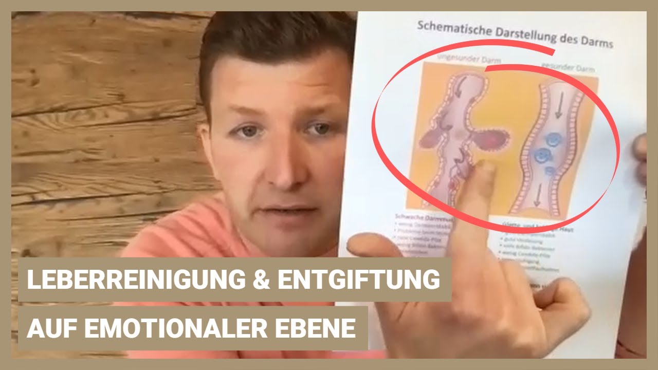 Leberreinigung und Entgiftungen auf emotionaler Ebene