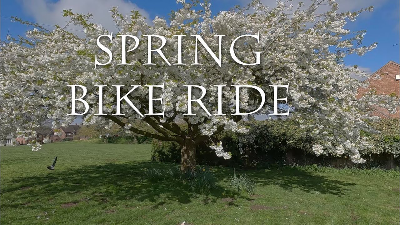 Spring Cycle ride, flowers, birds and fresh air.