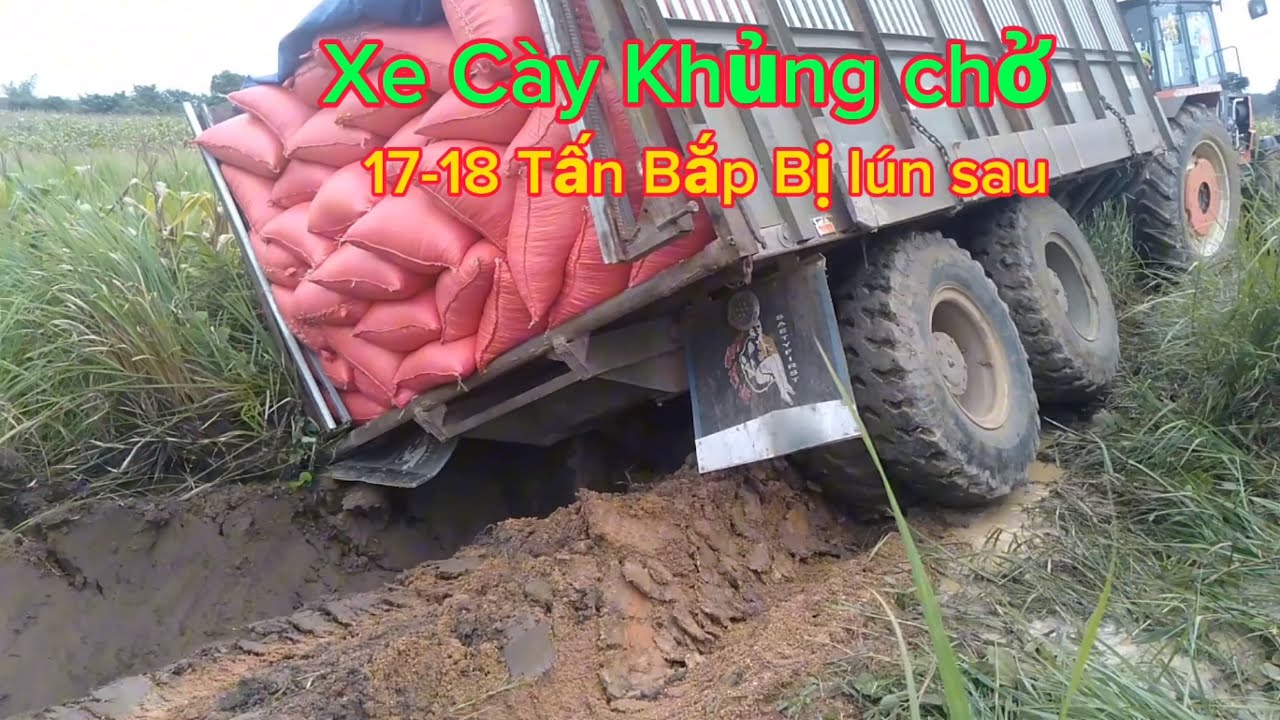 Xe Cay kubota Bốn do chở bắp Bị lún:/