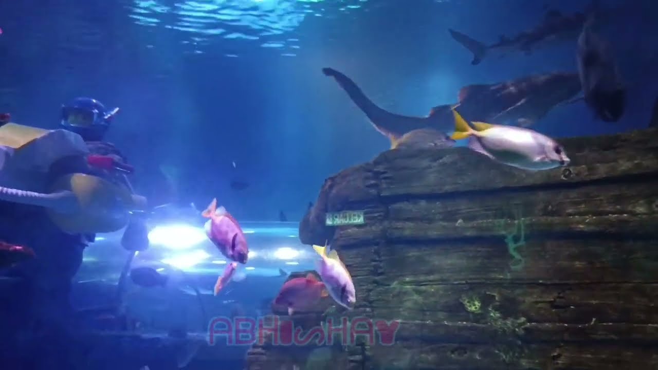 Sea Aquarium Legoland Malaysia Part2