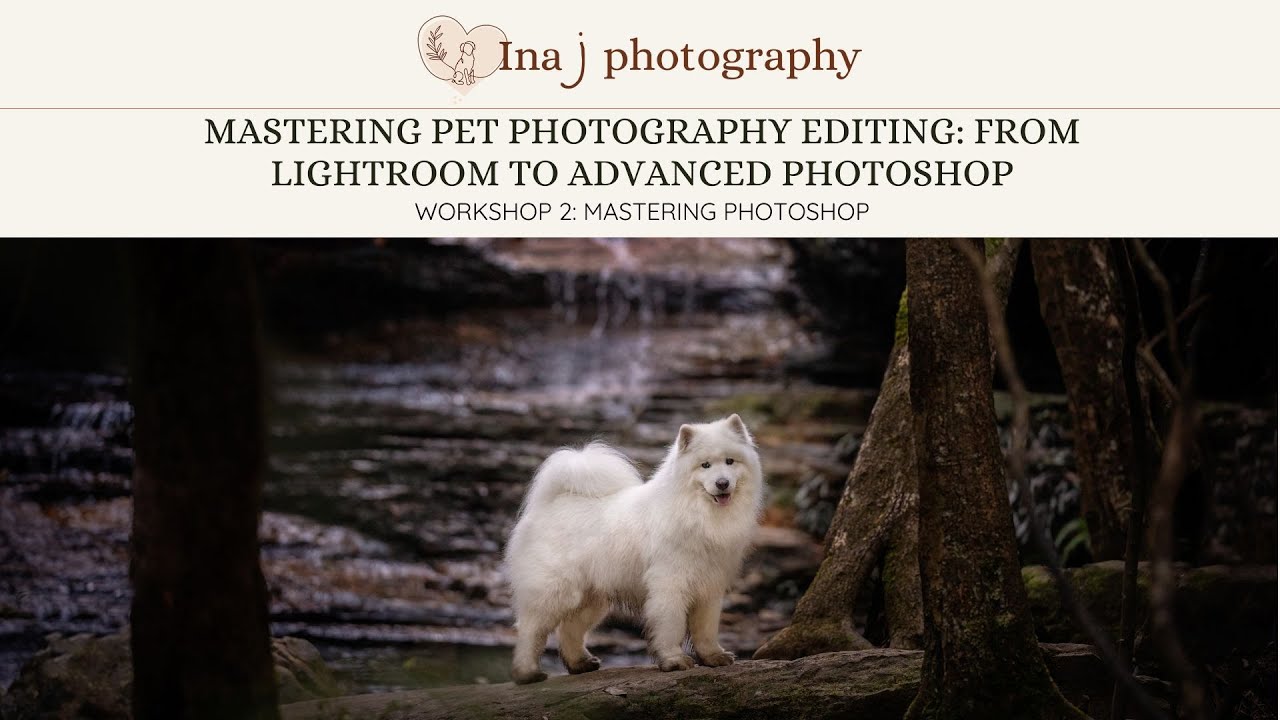 Editing for Pet Photography Webinar Series 2: Photoshop Techniques for Pet Photography