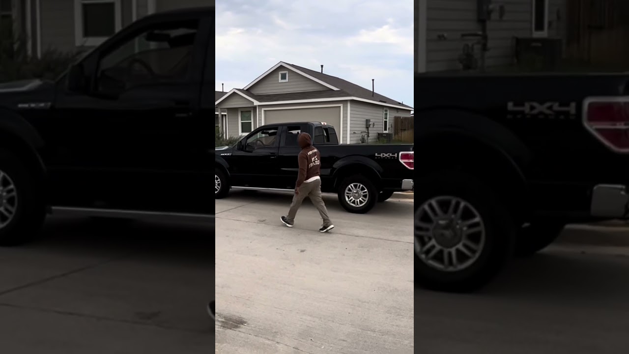 Gunman Try&rsquo;s 2 Pull Driver From Truck. SURPRISE 😮 #protection #dogtraining #hardbodyk9training