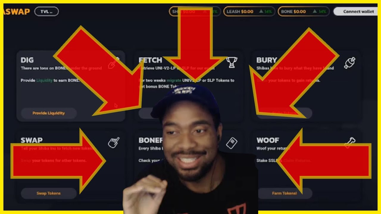SHIBASWAP PROOF IT EXIST ! SNEAK PEEK VIDEO RELEASED OFFICIAL SHIB REVEALED BY YOUTUBER SHIBANALYST