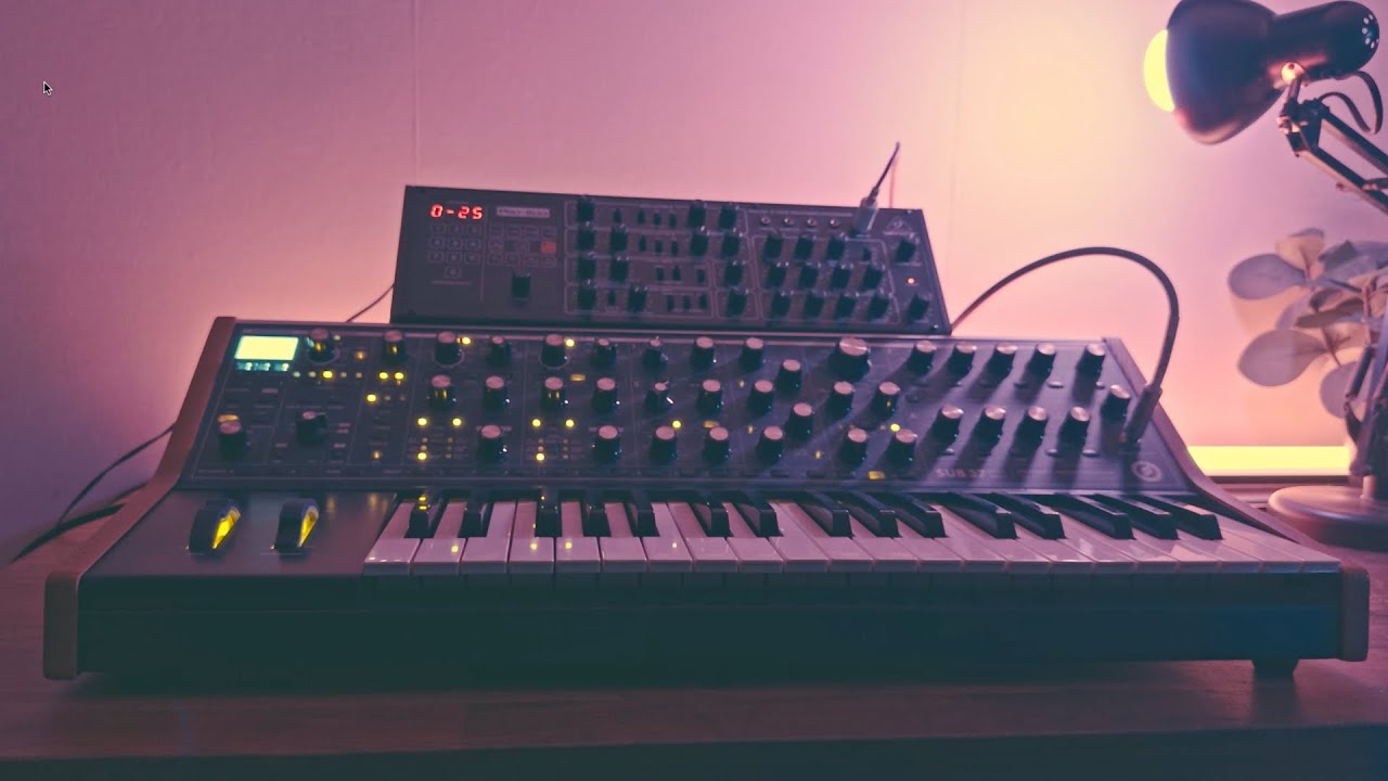Moog Sub 37 & Behringer Pro 800   Melodic House Performance