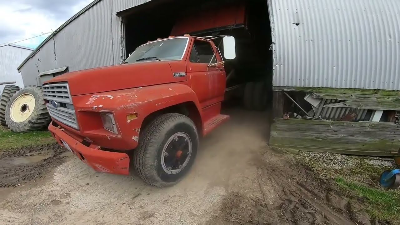 Dumping Roasted Soybeans in the Barn