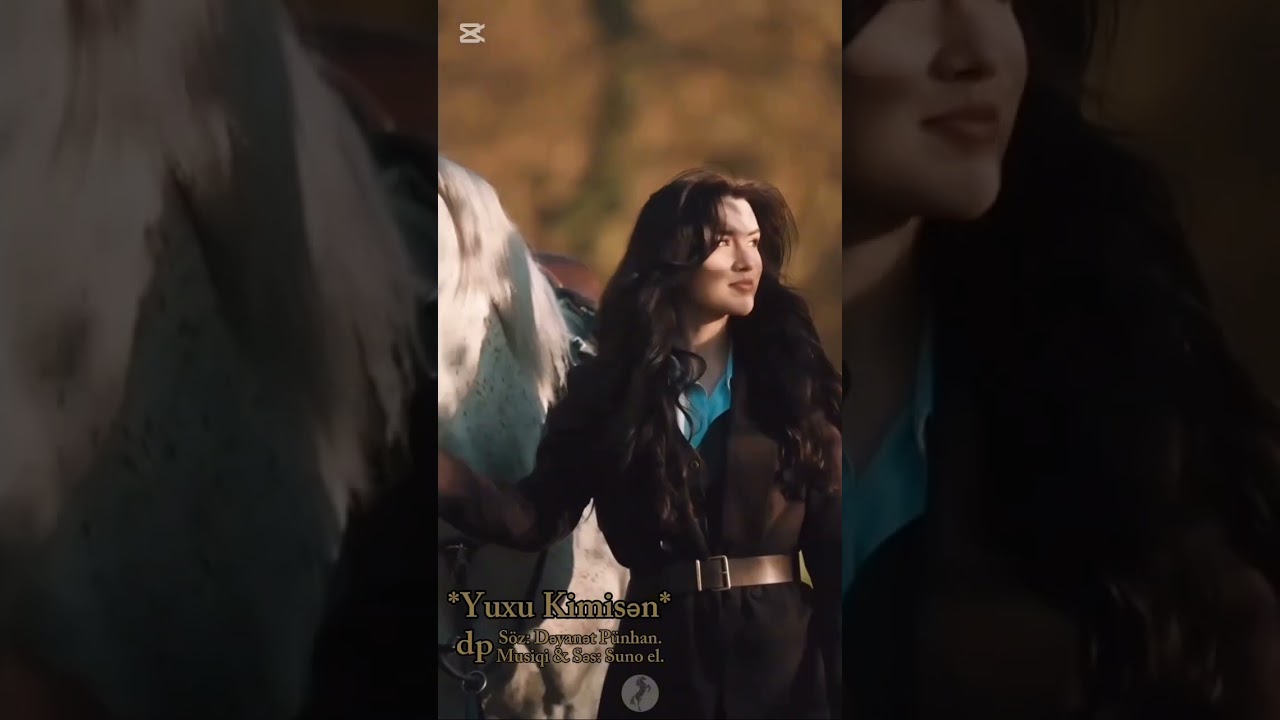 Dəyanət Pünhan Qələmindən *Yuxu Kimisən*