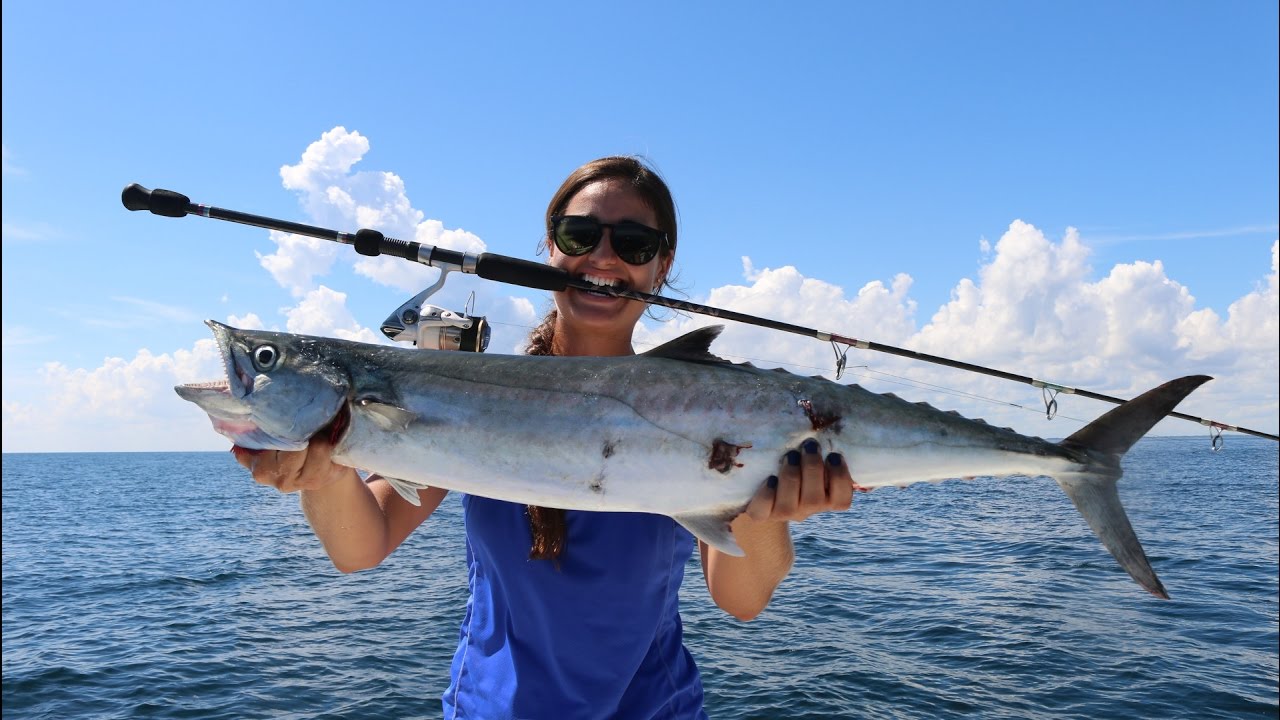Kingfish on Bass Gear! (Mullet run 2016)