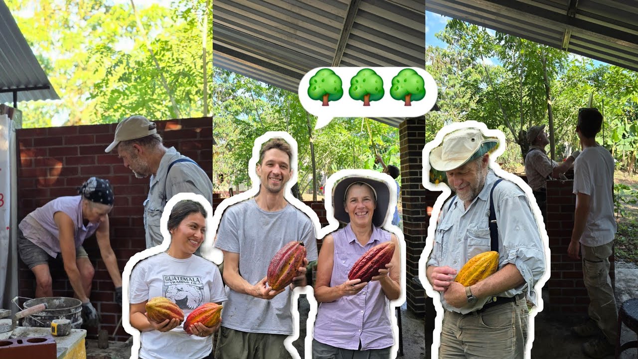 ESTO CONTRUYERON MIS SUEGROS EN NUESTRA CASA🇬🇹💓🇺🇲 |fueron a cosechar CACAO🇬🇹🌳