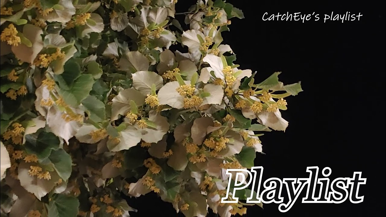 내가 아멘으로 고백하기까지(Until I Confessed “Amen”), Christian Contemporary Music