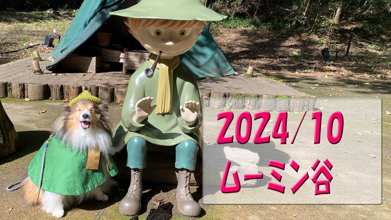 かわいいシェルティ　ムーミンバレーパーク