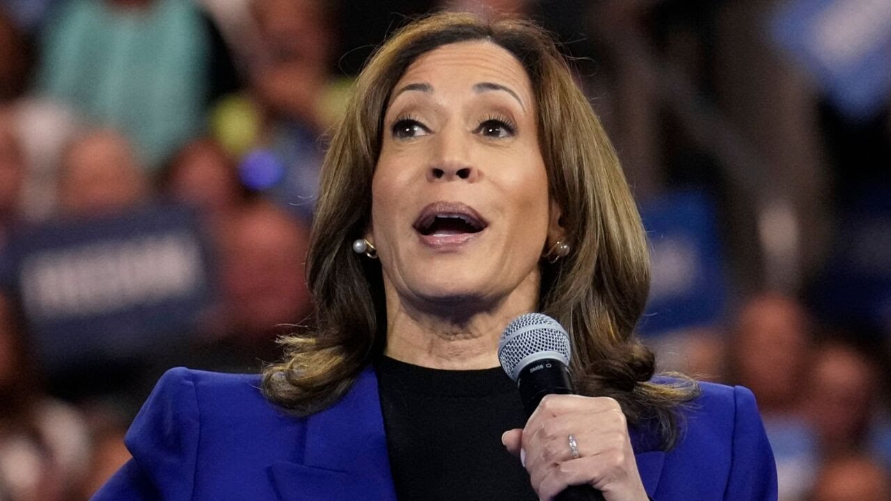 ‘Most low IQ voters’: DNC attendees fail to name ‘favourite policy’ of Kamala Harris