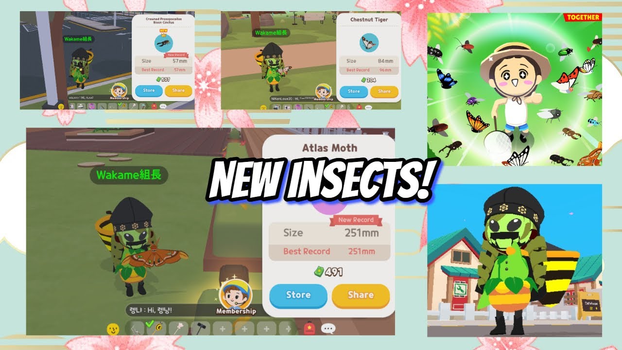 Hunting New Insects! July 2024 Update | Part 1