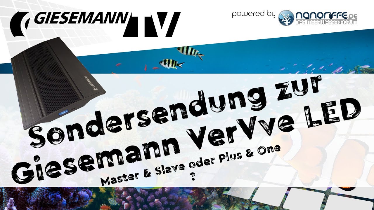 VerVve Sondersendung