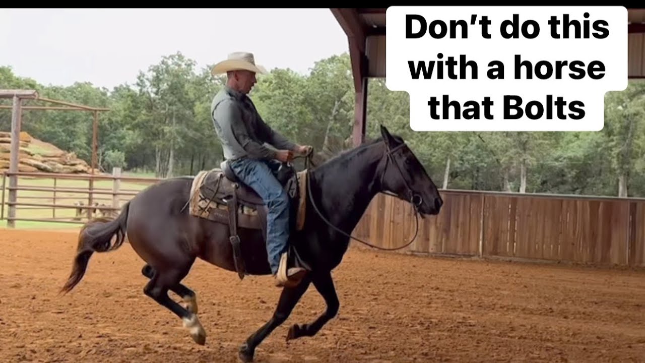 Dangerous Bolting Issue on horse, Can I help her??