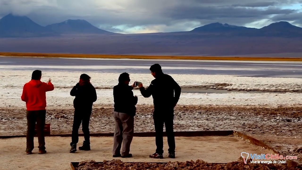 Tour Laguna Cejar y Tebinquinche