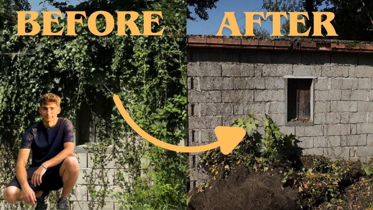 3 Days of Hard Work | Uncovering the Forgotten Shed