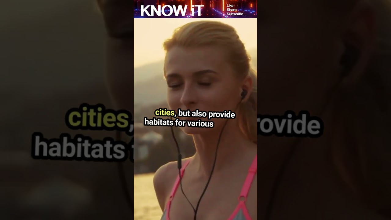 10 Fantastic Facts About Wildlife Conservation Engineering | KNOW iT